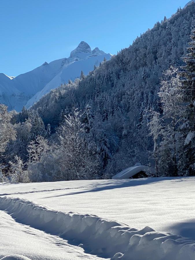 Landhaus Am Plattenbichl - Luxus Apartment Mit Privat-Pool Und Sauna - Im Sommer Bergbahn Inklusive Oberstdorf Exteriör bild