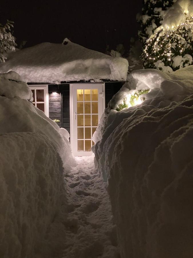 Landhaus Am Plattenbichl - Luxus Apartment Mit Privat-Pool Und Sauna - Im Sommer Bergbahn Inklusive Oberstdorf Exteriör bild