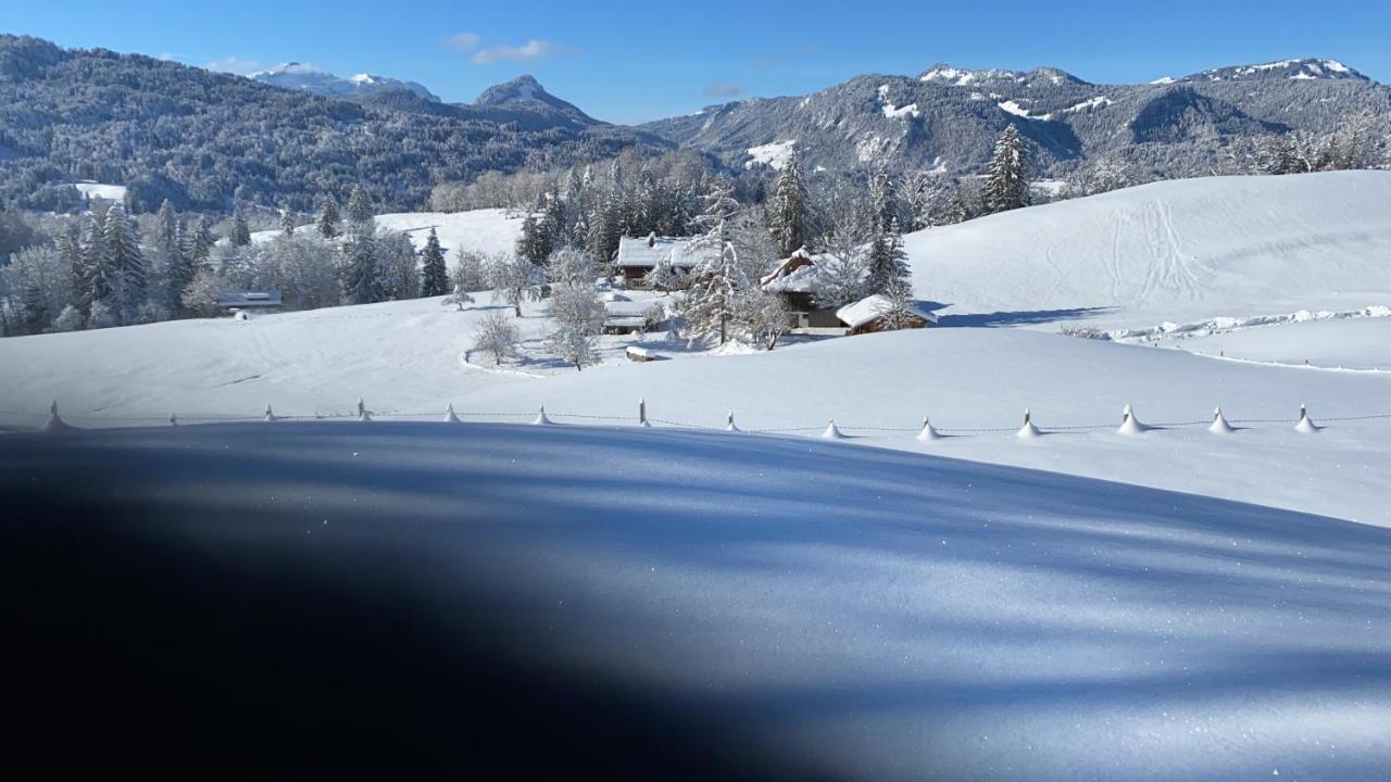 Landhaus Am Plattenbichl - Luxus Apartment Mit Privat-Pool Und Sauna - Im Sommer Bergbahn Inklusive Oberstdorf Exteriör bild